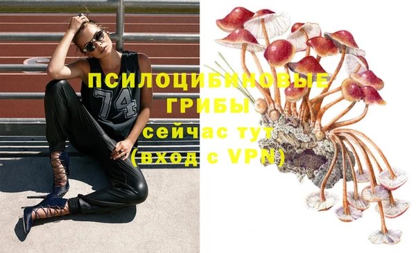 альфа пвп Алексеевка